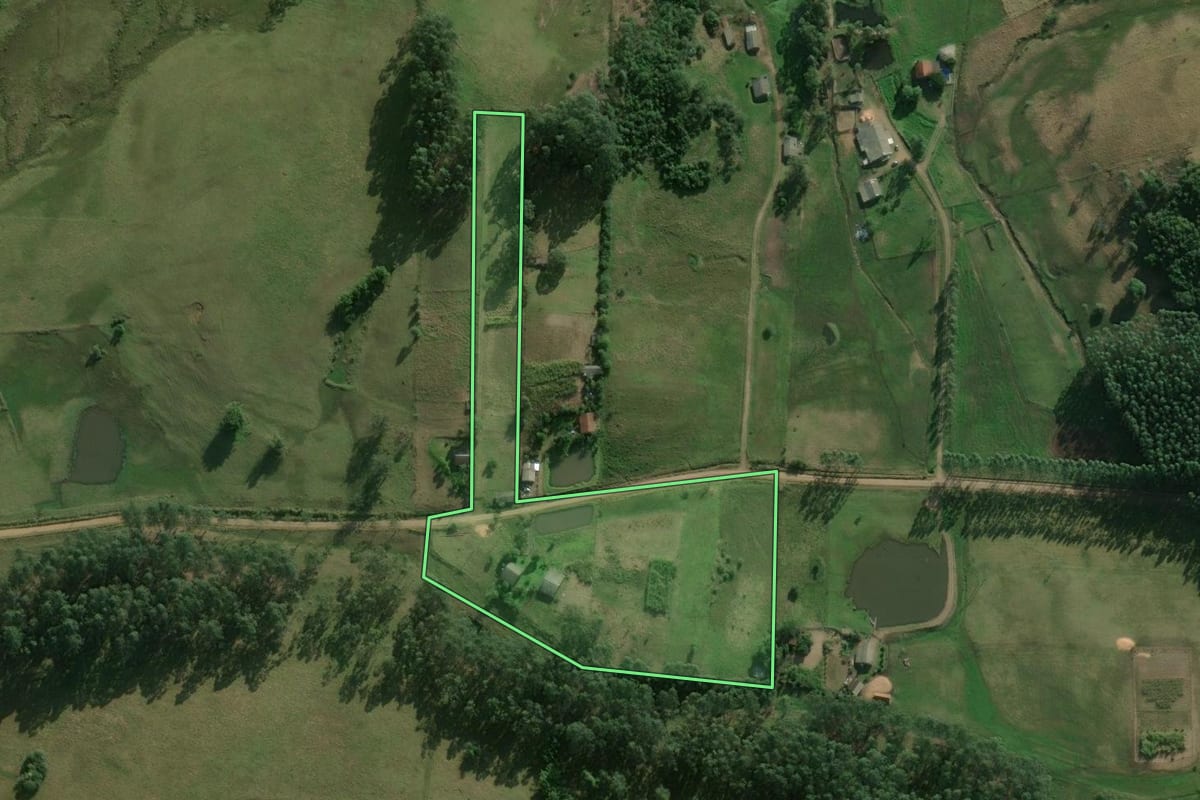 Imagem de satélite do imóvel rural em Santo Antônio da Patrulha (RS), com o contorno declarado no CAR desenhado por cima.