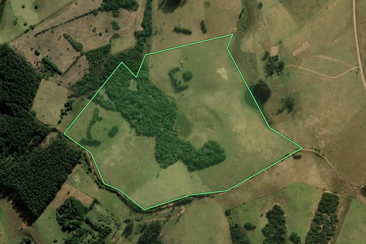 Imagem de satélite do imóvel rural em Santo Antônio da Patrulha (RS), com o contorno declarado no CAR desenhado por cima.