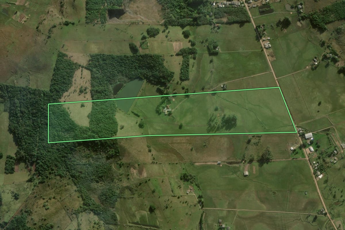 Imagem de satélite do imóvel rural em Santo Antônio da Patrulha (RS), com o contorno declarado no CAR desenhado por cima.