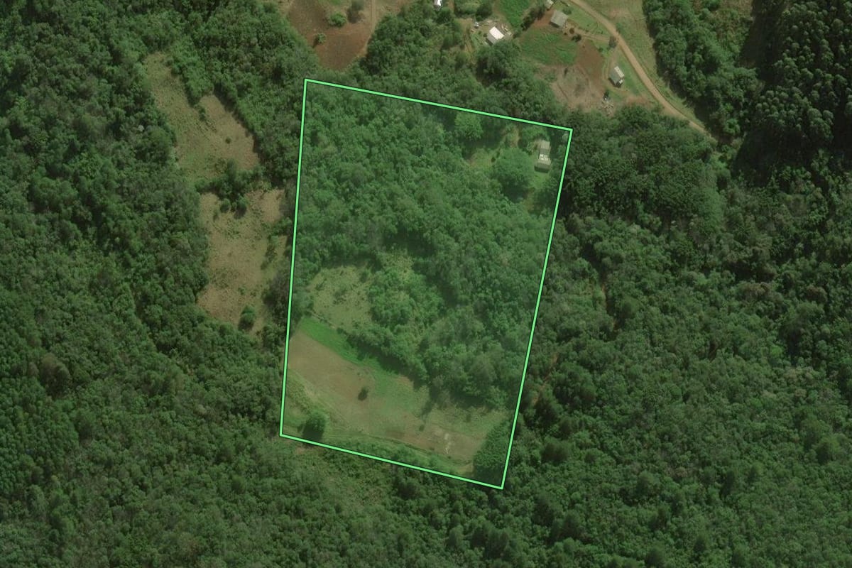 Imagem de satélite do imóvel rural em Santo Antônio da Patrulha (RS), com o contorno declarado no CAR desenhado por cima.
