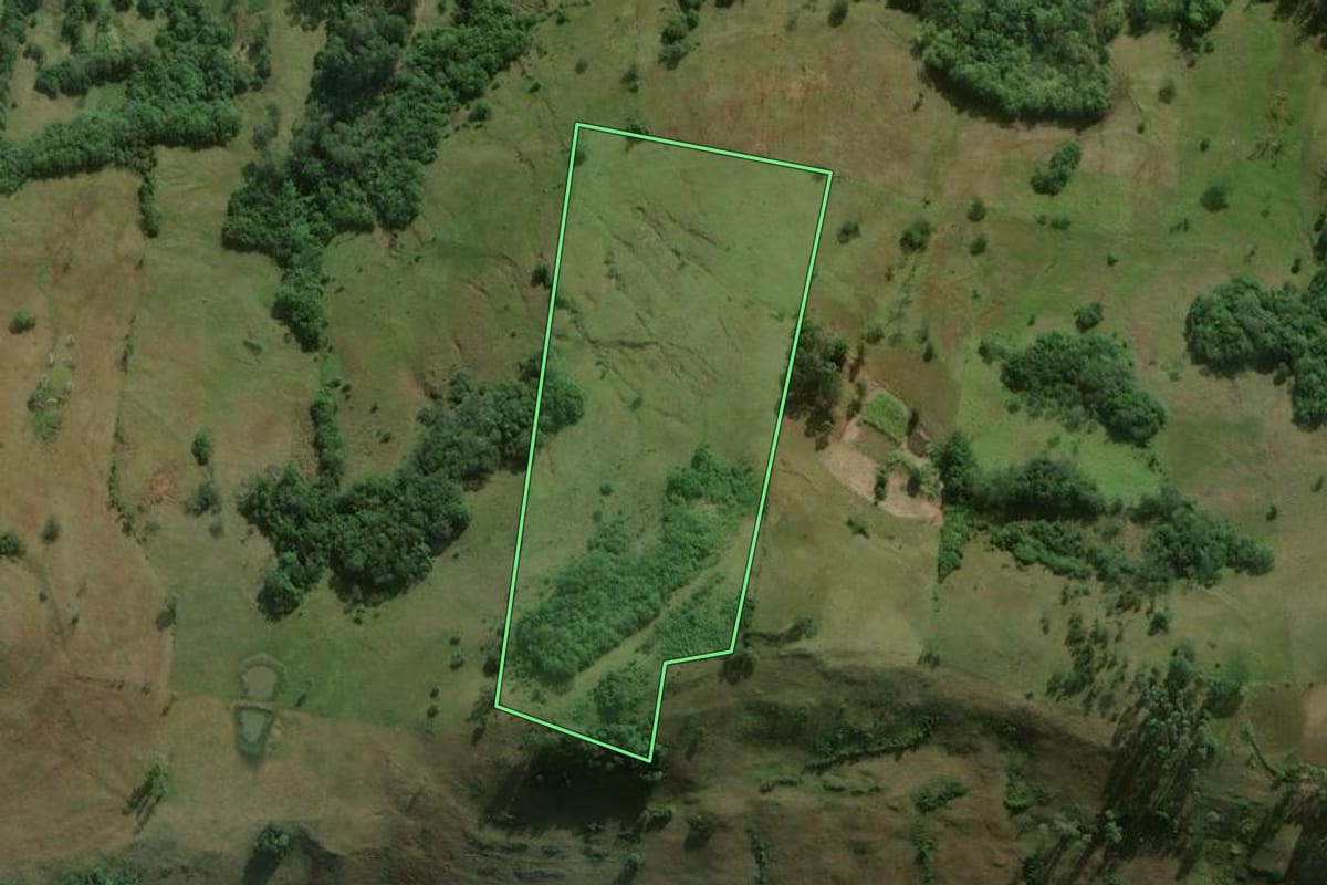 Imagem de satélite do imóvel rural em Santo Antônio da Patrulha (RS), com o contorno declarado no CAR desenhado por cima.