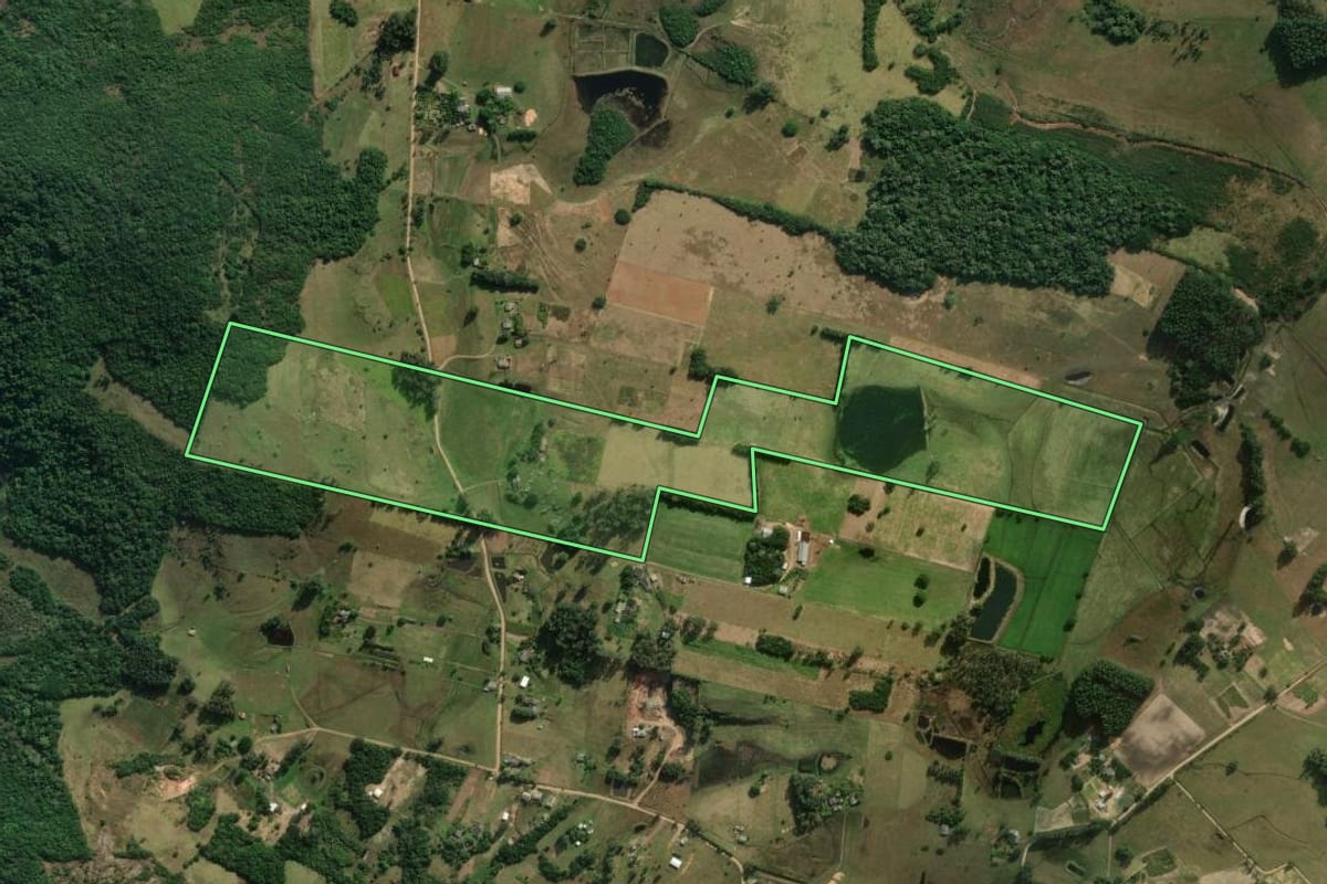 Imagem de satélite do imóvel rural em Santo Antônio da Patrulha (RS), com o contorno declarado no CAR desenhado por cima.