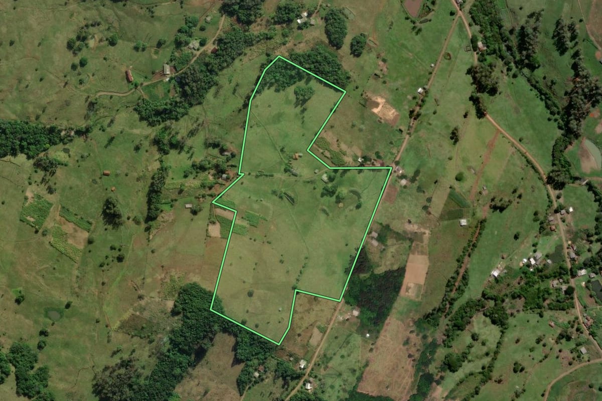 Imagem de satélite do imóvel rural em Santo Antônio da Patrulha (RS), com o contorno declarado no CAR desenhado por cima.