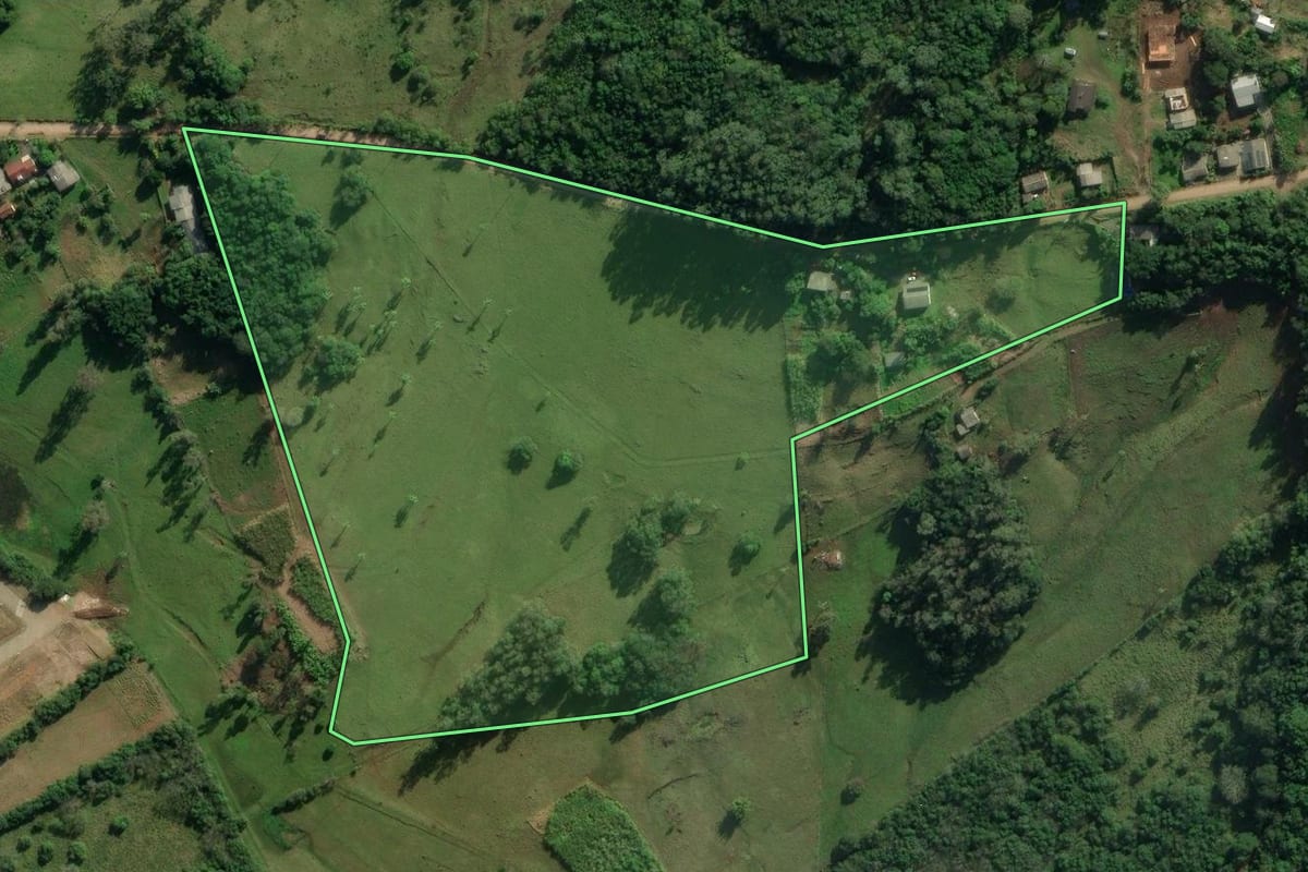 Imagem de satélite do imóvel rural em Santo Antônio da Patrulha (RS), com o contorno declarado no CAR desenhado por cima.