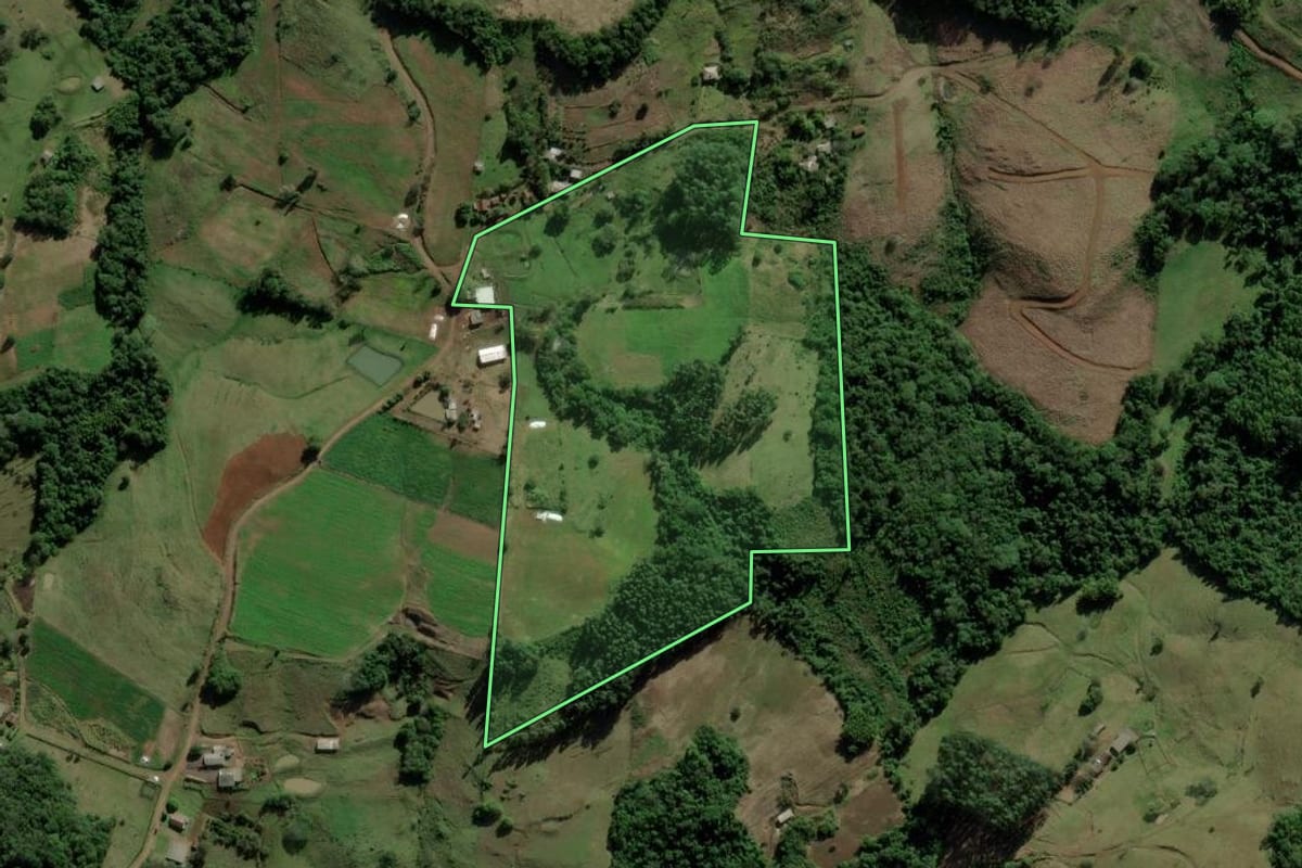 Imagem de satélite do imóvel rural em Santo Antônio da Patrulha (RS), com o contorno declarado no CAR desenhado por cima.