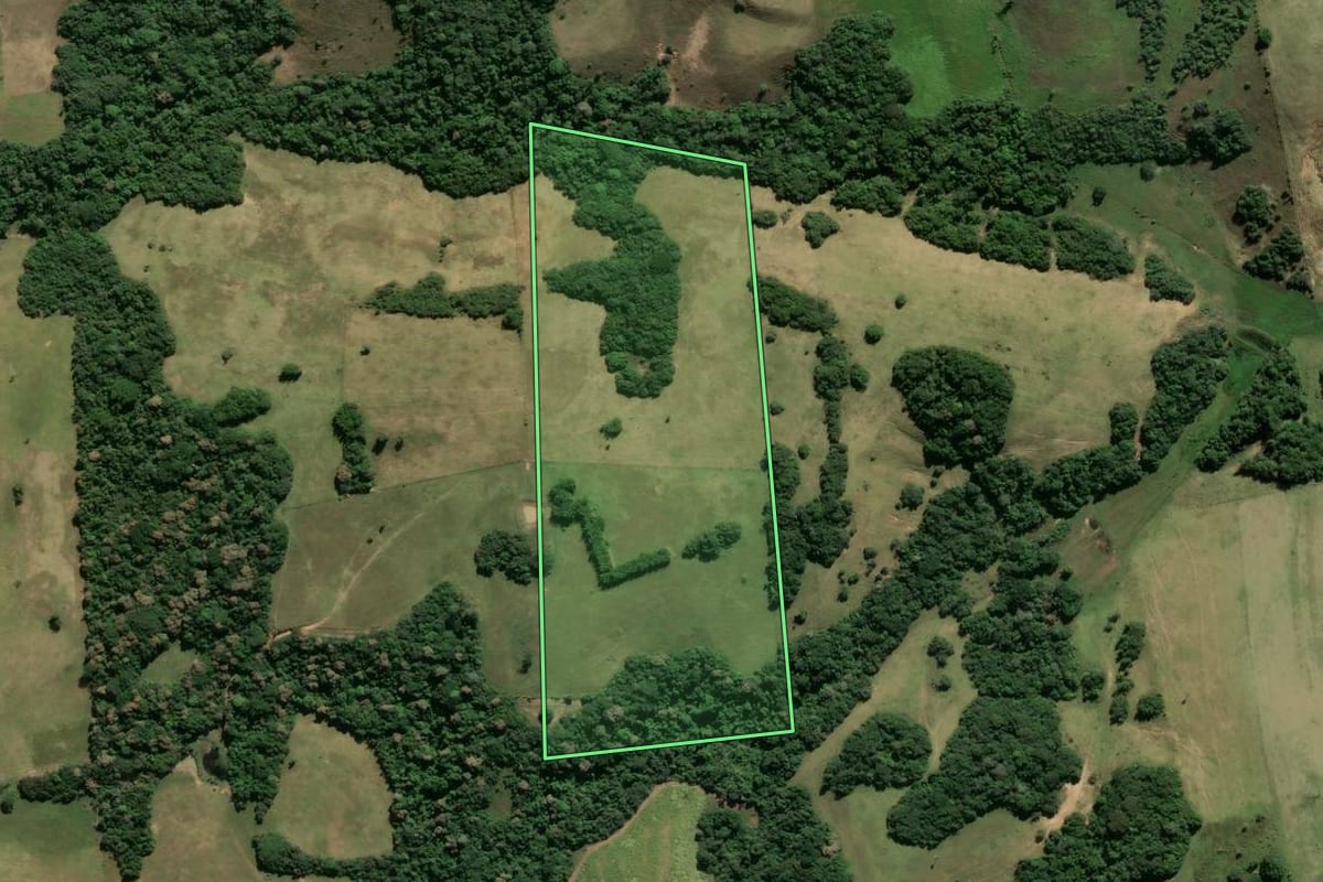 Imagem de satélite do imóvel rural em Santo Antônio da Patrulha (RS), com o contorno declarado no CAR desenhado por cima.