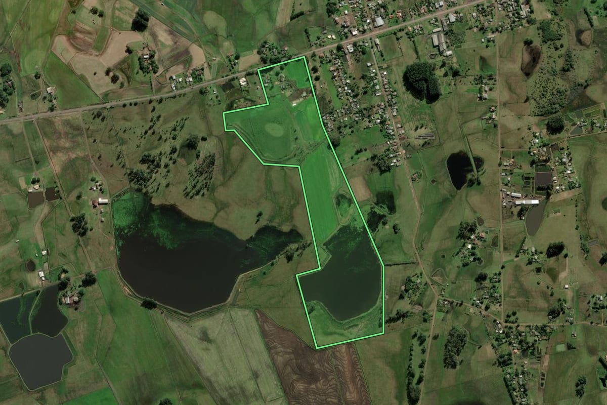 Imagem de satélite do imóvel rural em Santo Antônio da Patrulha (RS), com o contorno declarado no CAR desenhado por cima.