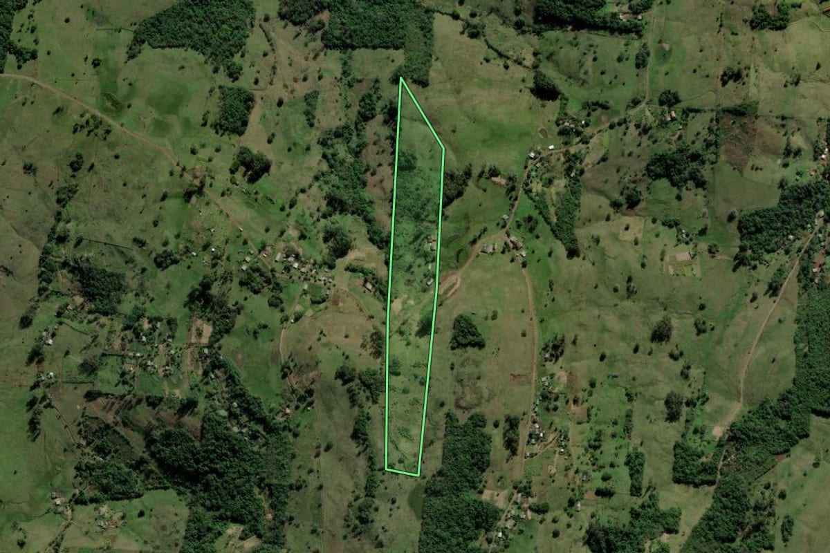 Imagem de satélite do imóvel rural em Santo Antônio da Patrulha (RS), com o contorno declarado no CAR desenhado por cima.