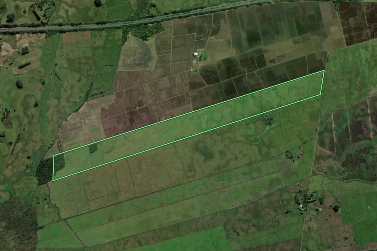 Imagem de satélite do imóvel rural em Santo Antônio da Patrulha (RS), com o contorno declarado no CAR desenhado por cima.