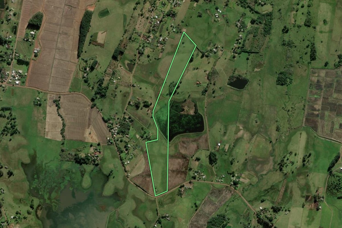 Imagem de satélite do imóvel rural em Santo Antônio da Patrulha (RS), com o contorno declarado no CAR desenhado por cima.