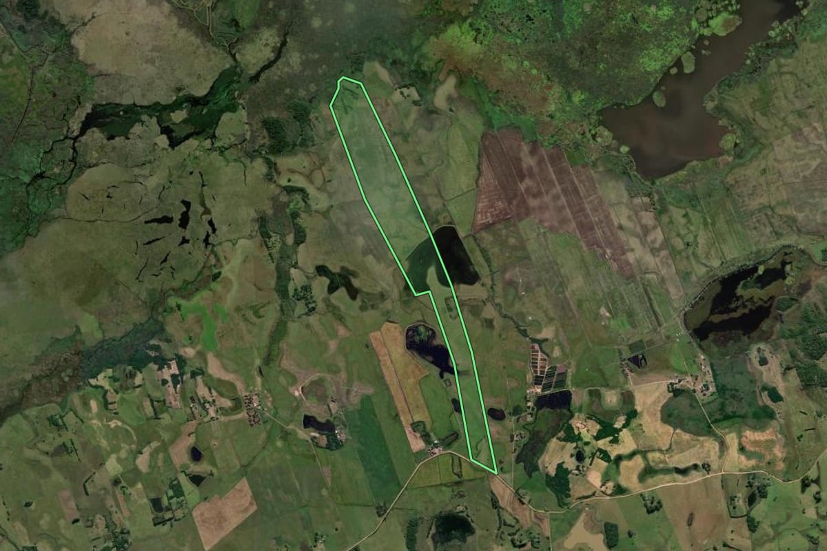Imagem de satélite do imóvel rural em Santo Antônio da Patrulha (RS), com o contorno declarado no CAR desenhado por cima.
