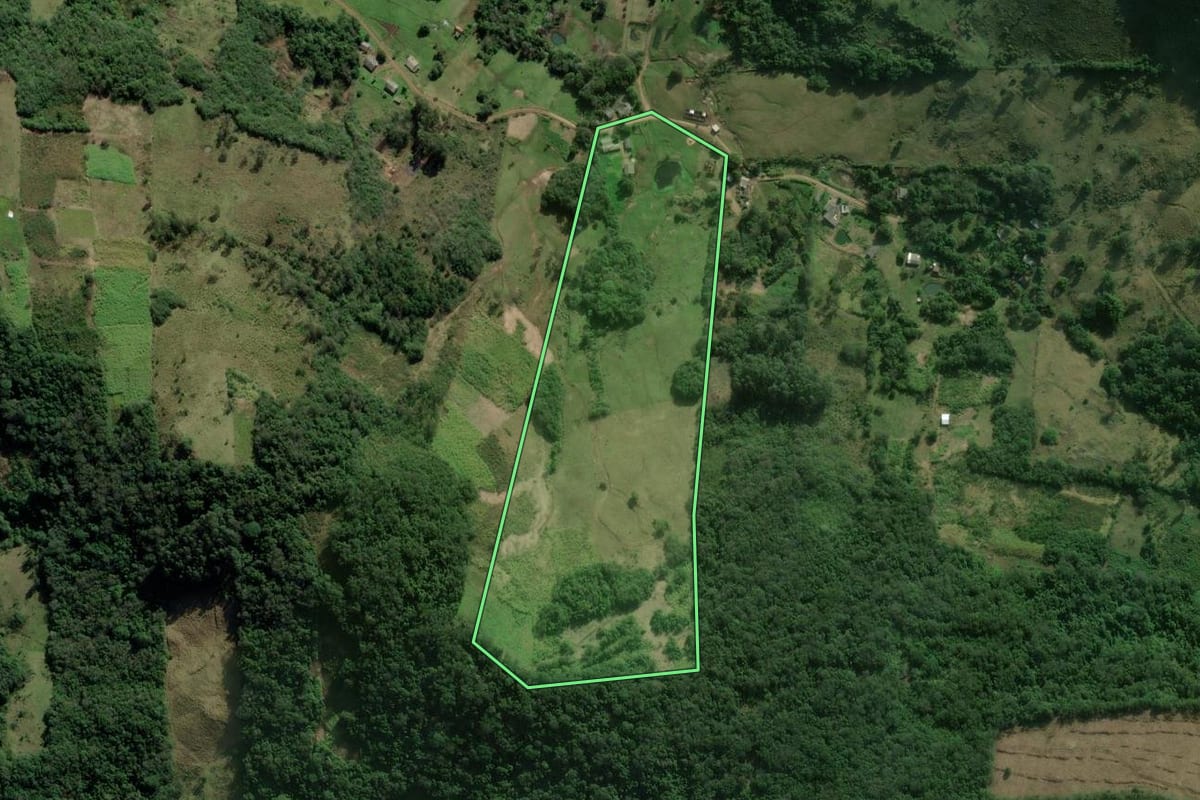 Imagem de satélite do imóvel rural em Santo Antônio da Patrulha (RS), com o contorno declarado no CAR desenhado por cima.
