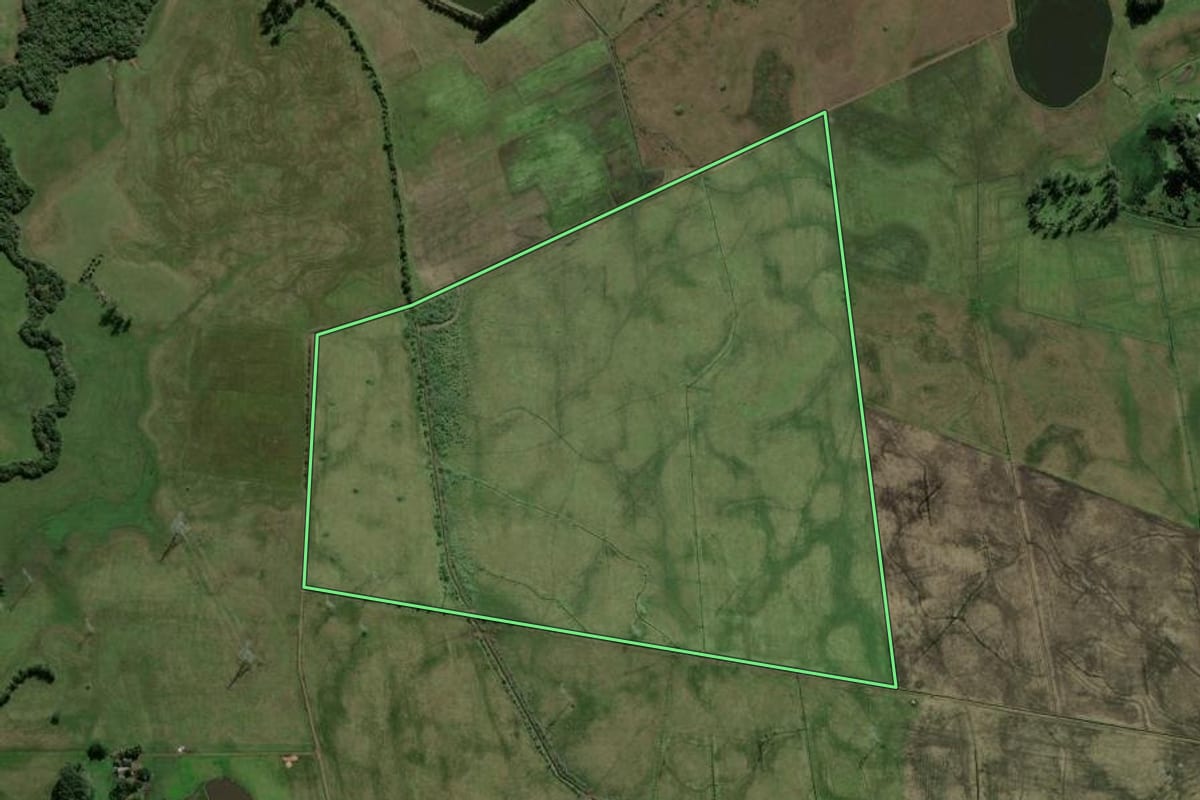 Imagem de satélite do imóvel rural em Santo Antônio da Patrulha (RS), com o contorno declarado no CAR desenhado por cima.