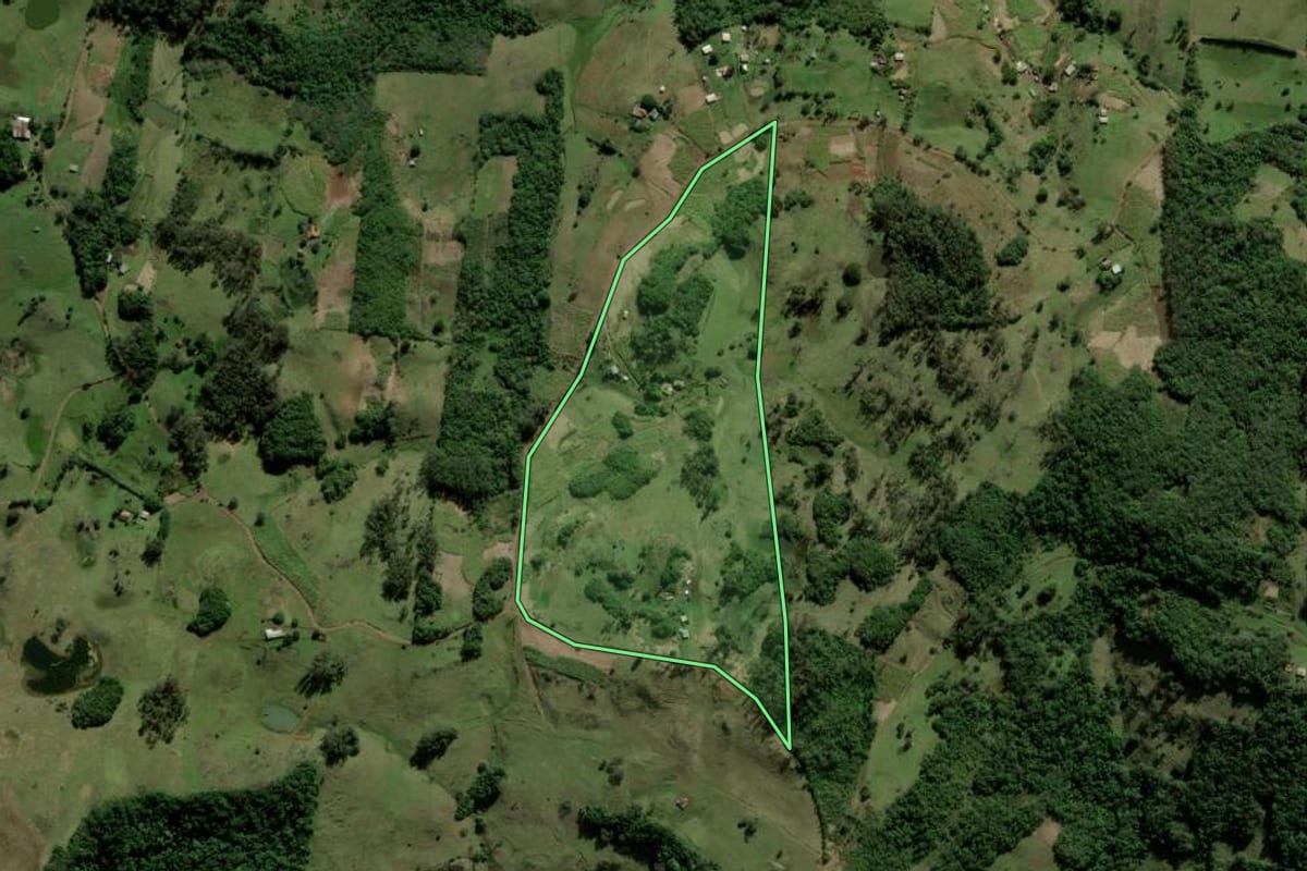 Imagem de satélite do imóvel rural em Santo Antônio da Patrulha (RS), com o contorno declarado no CAR desenhado por cima.