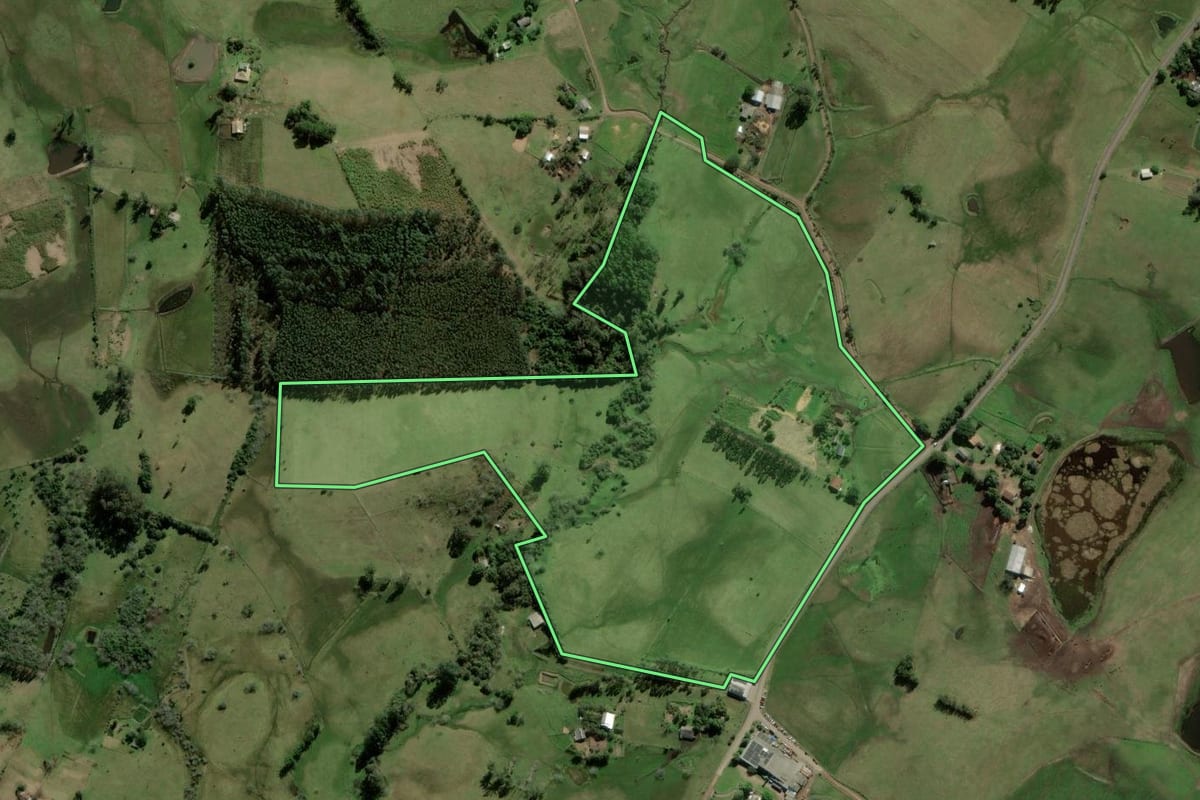 Imagem de satélite do imóvel rural em Santo Antônio da Patrulha (RS), com o contorno declarado no CAR desenhado por cima.