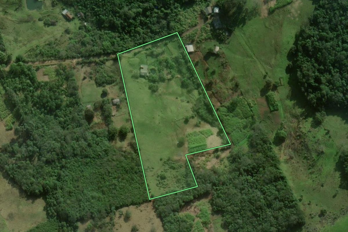 Imagem de satélite do imóvel rural em Santo Antônio da Patrulha (RS), com o contorno declarado no CAR desenhado por cima.