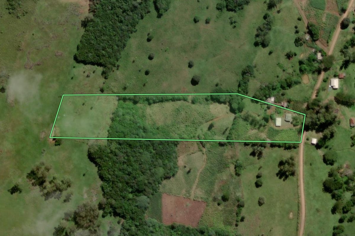 Imagem de satélite do imóvel rural em Santo Antônio da Patrulha (RS), com o contorno declarado no CAR desenhado por cima.