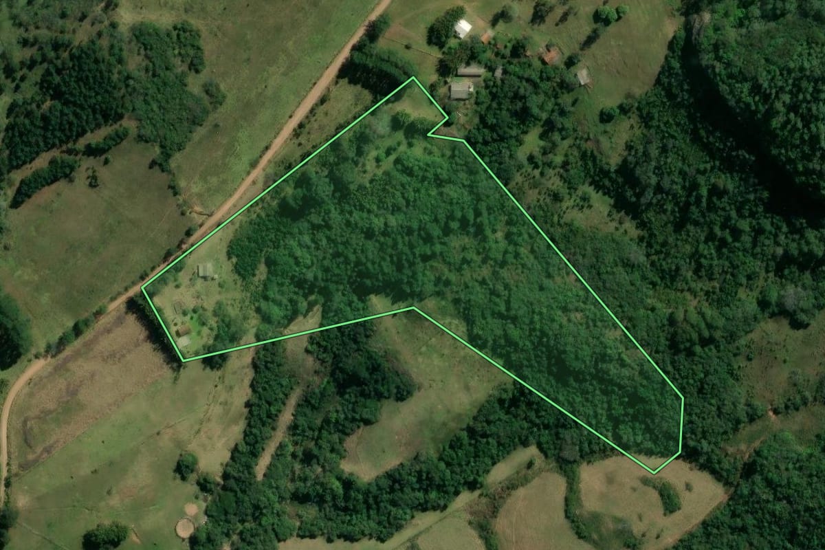 Imagem de satélite do imóvel rural em Santo Antônio da Patrulha (RS), com o contorno declarado no CAR desenhado por cima.