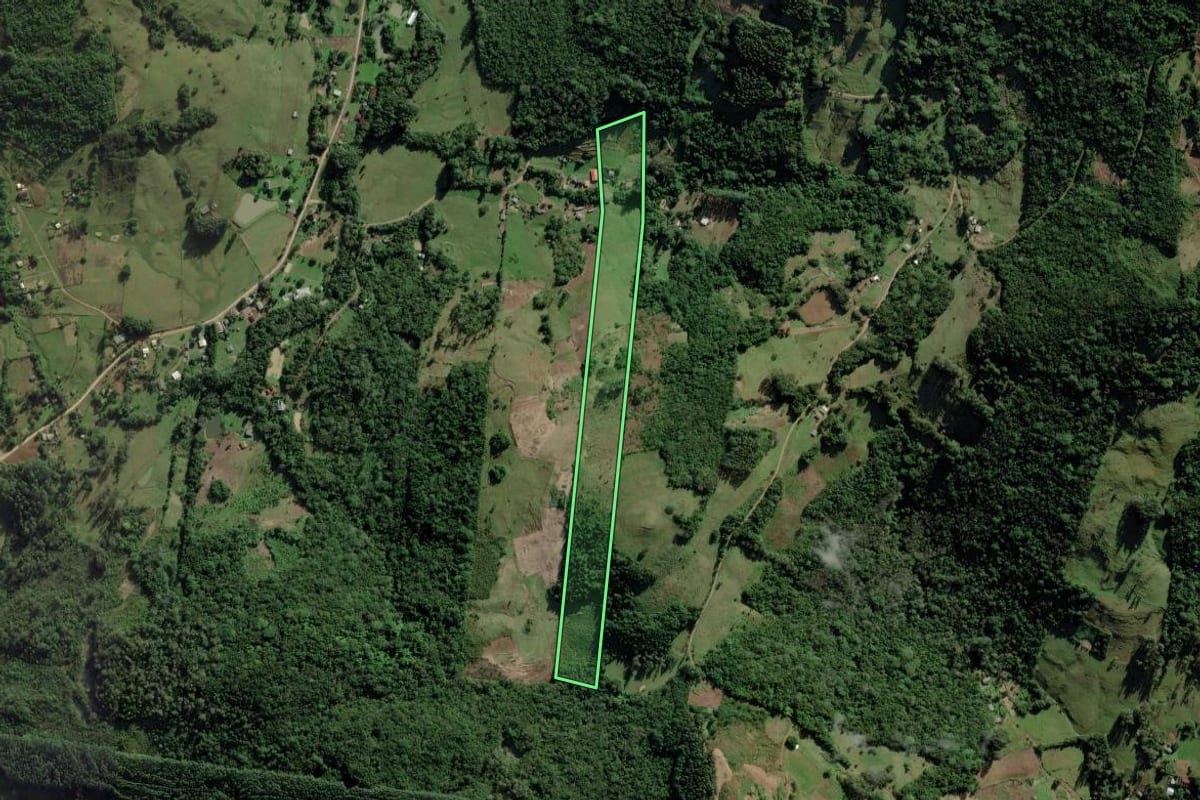 Imagem de satélite do imóvel rural em Santo Antônio da Patrulha (RS), com o contorno declarado no CAR desenhado por cima.