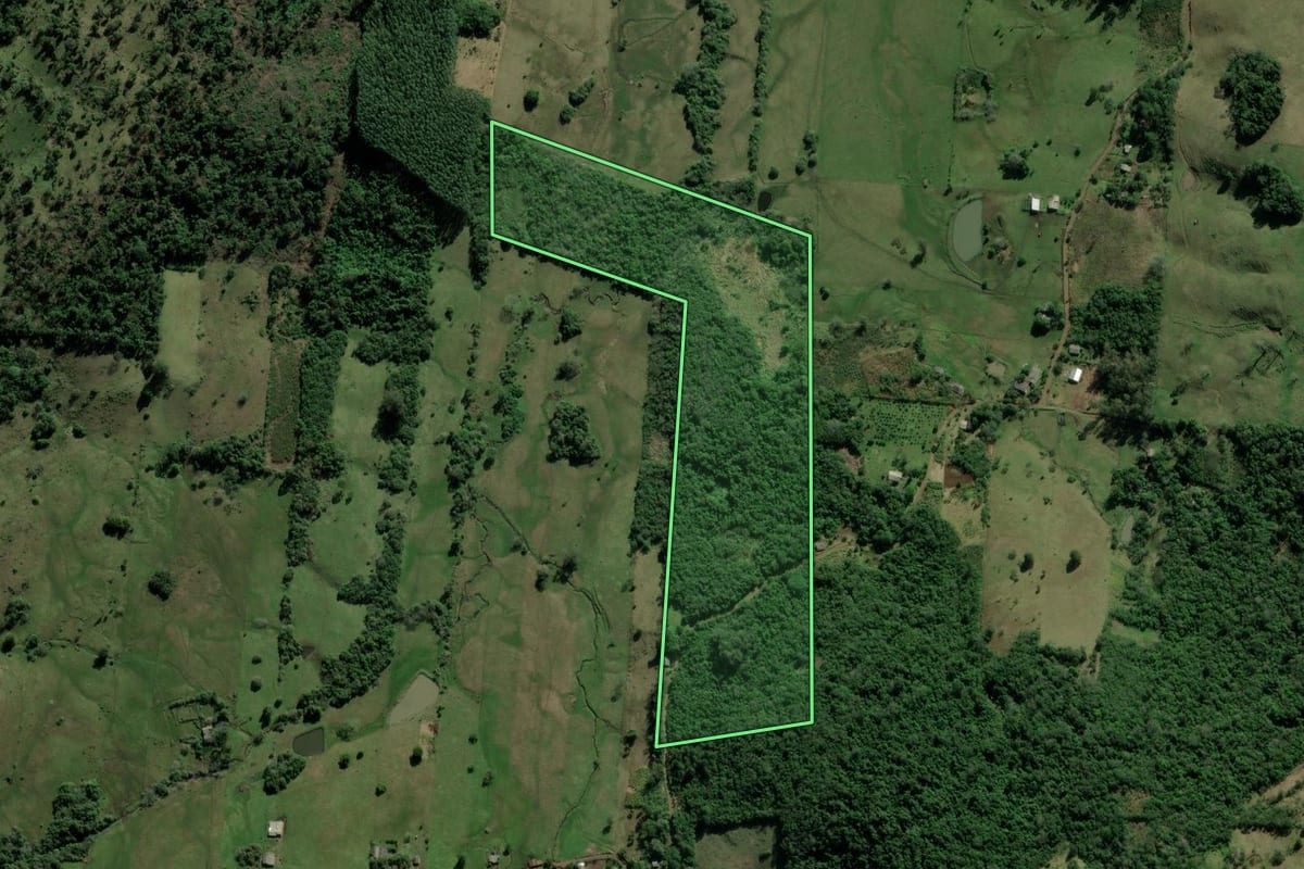 Imagem de satélite do imóvel rural em Santo Antônio da Patrulha (RS), com o contorno declarado no CAR desenhado por cima.