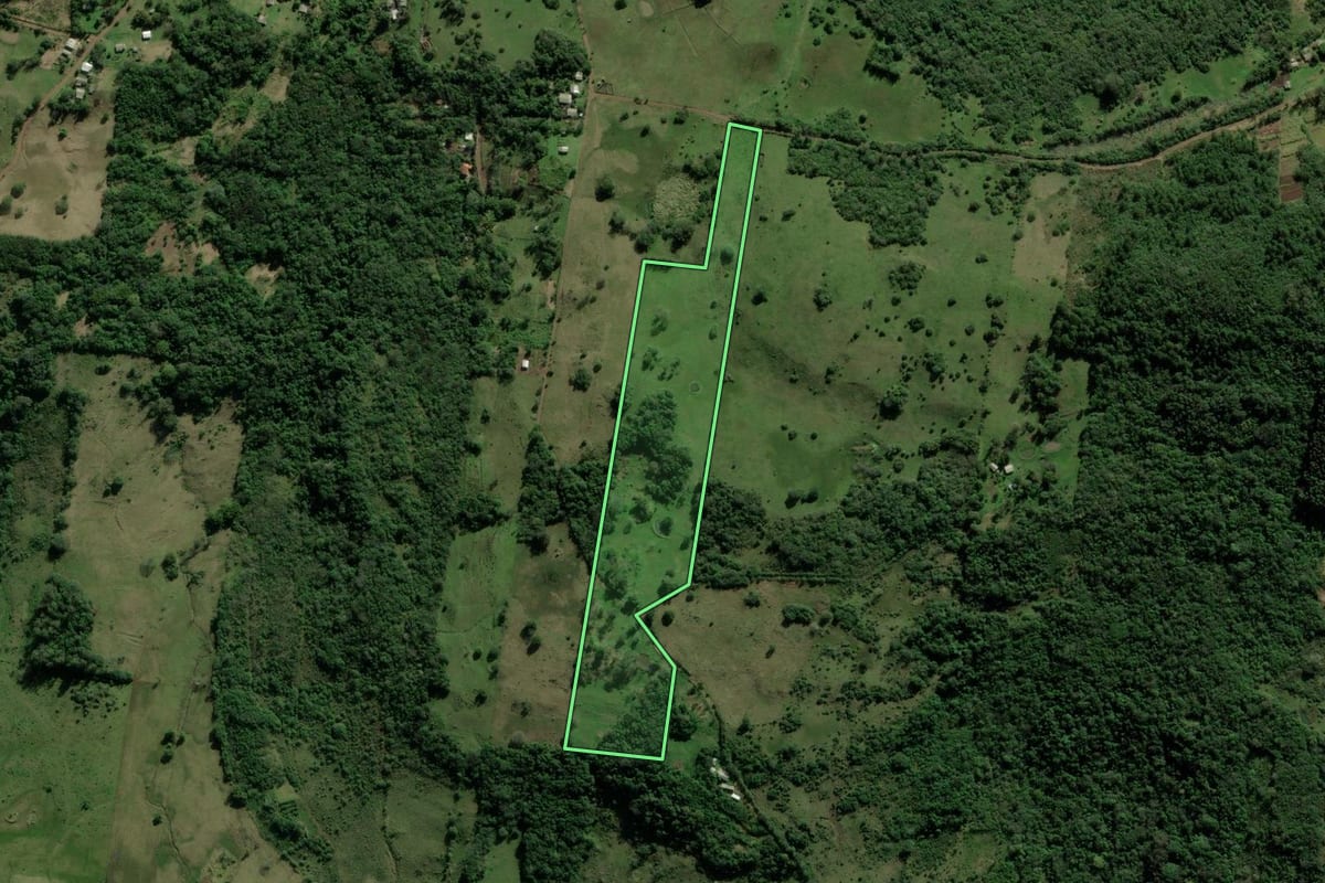 Imagem de satélite do imóvel rural em Santo Antônio da Patrulha (RS), com o contorno declarado no CAR desenhado por cima.