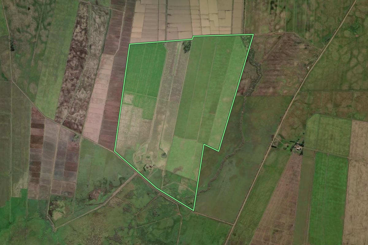 Imagem de satélite do imóvel rural em Santo Antônio da Patrulha (RS), com o contorno declarado no CAR desenhado por cima.