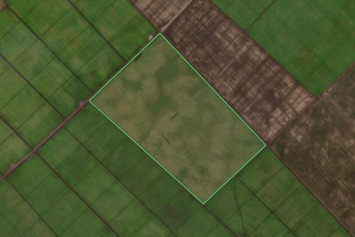 Imagem de satélite do imóvel rural em Santo Antônio da Patrulha (RS), com o contorno declarado no CAR desenhado por cima.