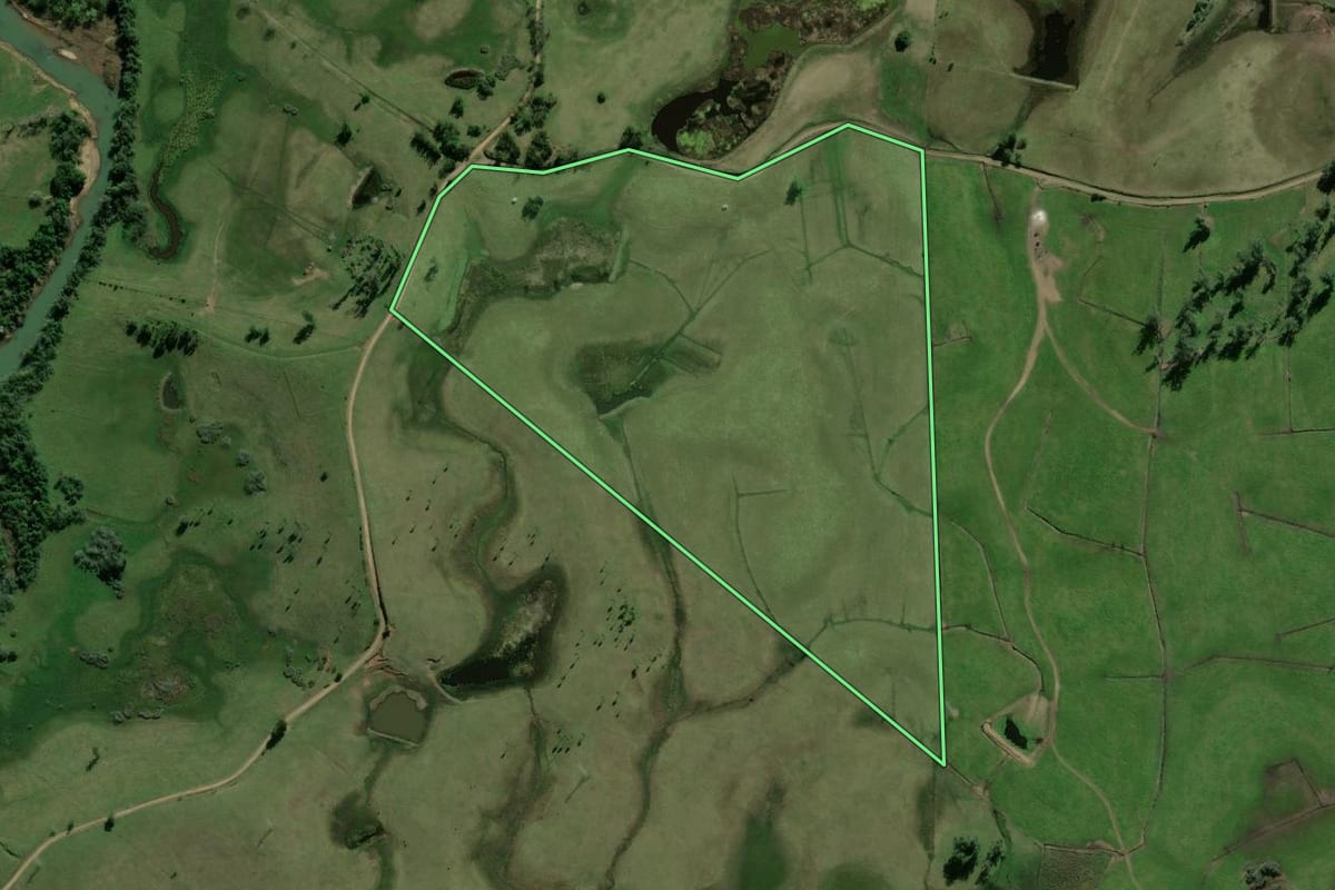 Imagem de satélite do imóvel rural em Santo Antônio da Patrulha (RS), com o contorno declarado no CAR desenhado por cima.