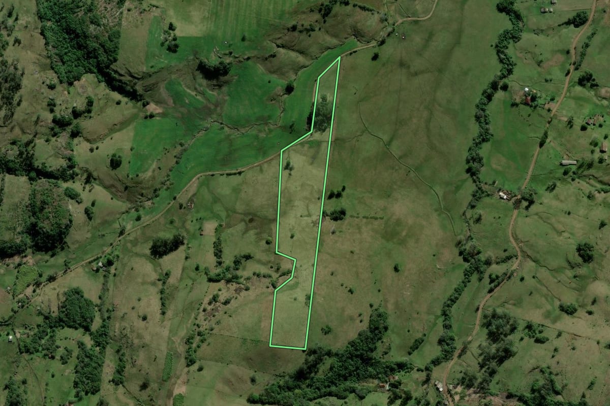 Imagem de satélite do imóvel rural em Santo Antônio da Patrulha (RS), com o contorno declarado no CAR desenhado por cima.