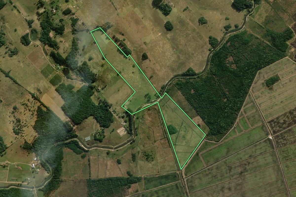 Imagem de satélite do imóvel rural em Santo Antônio da Patrulha (RS), com o contorno declarado no CAR desenhado por cima.