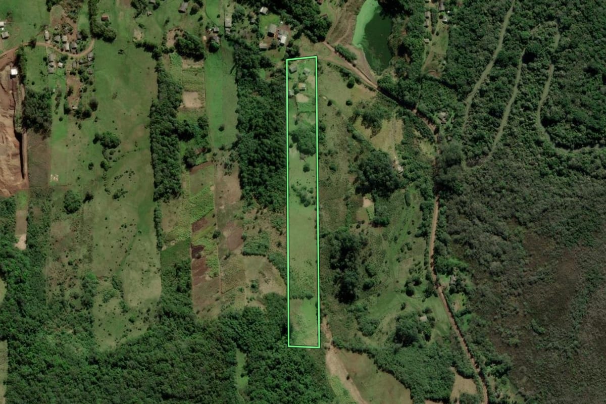 Imagem de satélite do imóvel rural em Santo Antônio da Patrulha (RS), com o contorno declarado no CAR desenhado por cima.