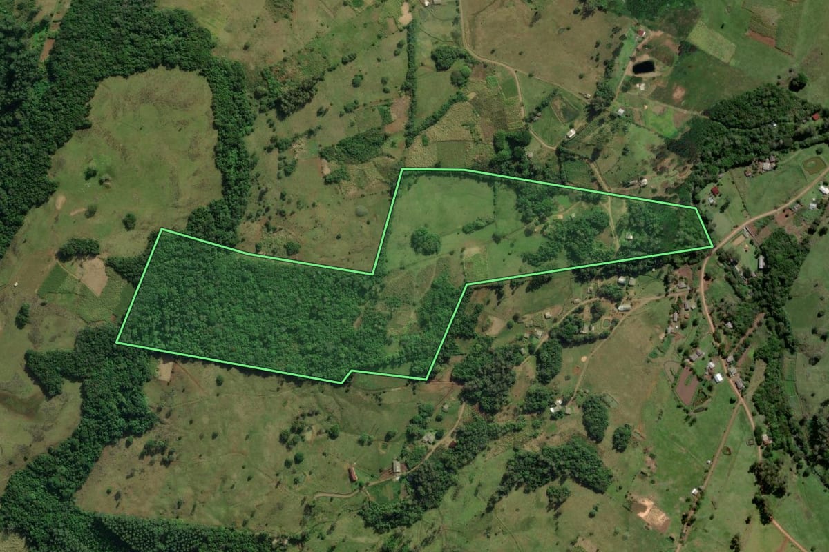 Imagem de satélite do imóvel rural em Santo Antônio da Patrulha (RS), com o contorno declarado no CAR desenhado por cima.