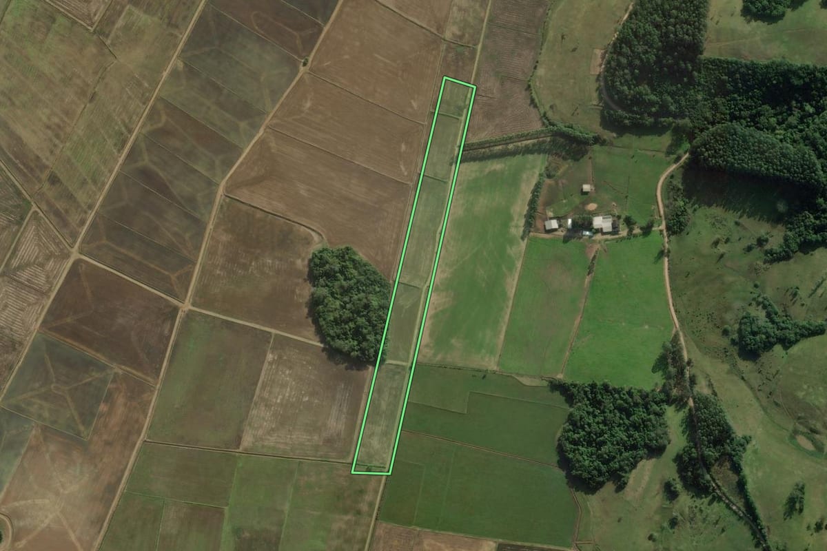 Imagem de satélite do imóvel rural em Santo Antônio da Patrulha (RS), com o contorno declarado no CAR desenhado por cima.