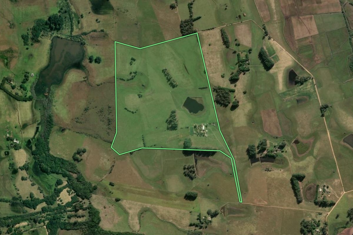 Imagem de satélite do imóvel rural em Santo Antônio da Patrulha (RS), com o contorno declarado no CAR desenhado por cima.