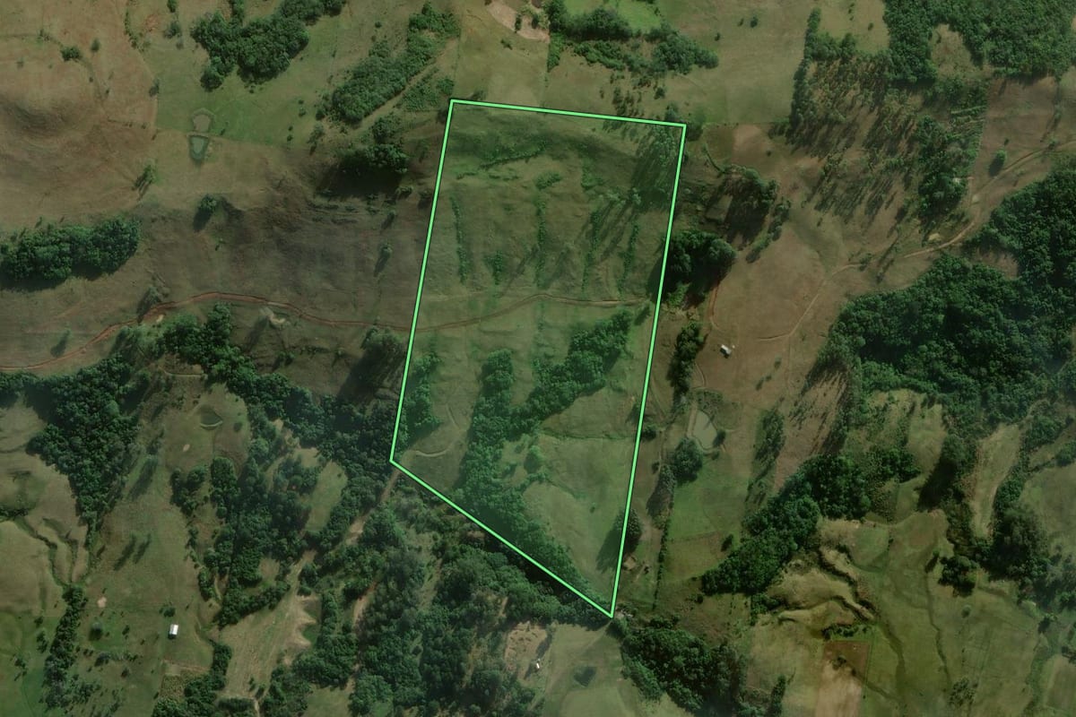 Imagem de satélite do imóvel rural em Santo Antônio da Patrulha (RS), com o contorno declarado no CAR desenhado por cima.