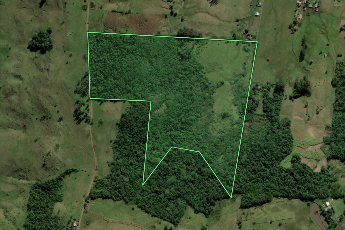 Imagem de satélite do imóvel rural em Santo Antônio da Patrulha (RS), com o contorno declarado no CAR desenhado por cima.