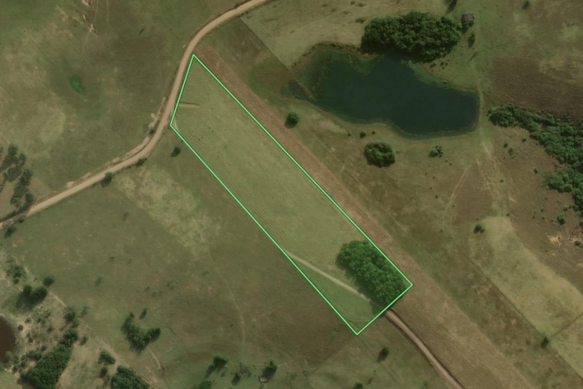 Imagem de satélite do imóvel rural em Santo Antônio da Patrulha (RS), com o contorno declarado no CAR desenhado por cima.