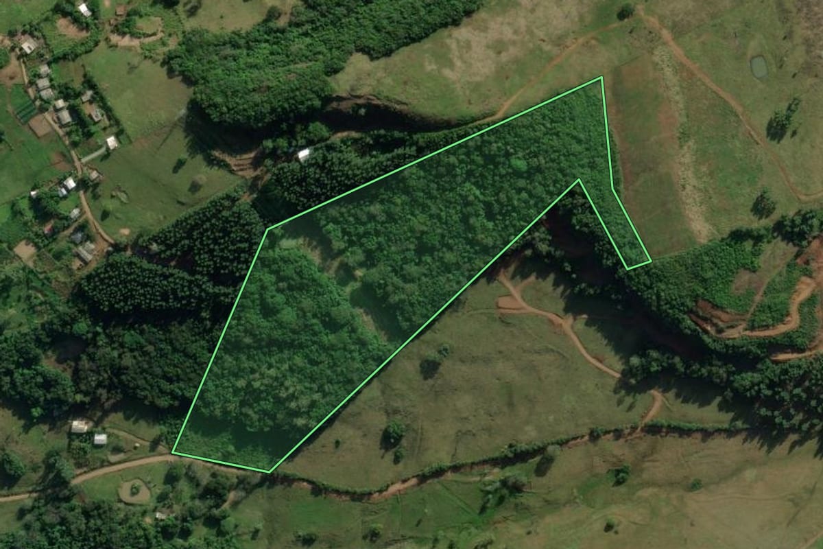 Imagem de satélite do imóvel rural em Santo Antônio da Patrulha (RS), com o contorno declarado no CAR desenhado por cima.