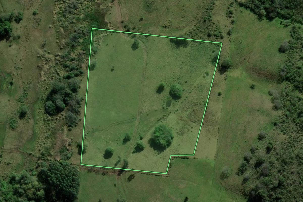 Imagem de satélite do imóvel rural em Santo Antônio da Patrulha (RS), com o contorno declarado no CAR desenhado por cima.