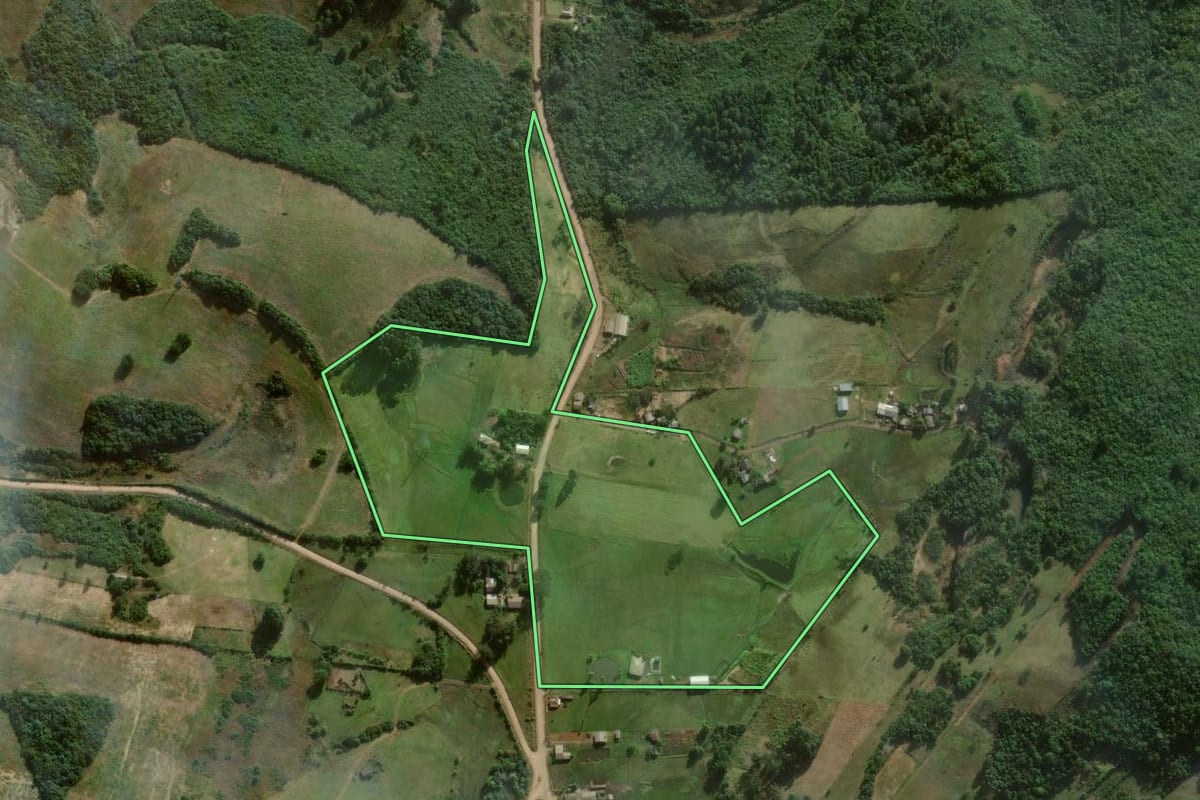 Imagem de satélite do imóvel rural em Santo Antônio da Patrulha (RS), com o contorno declarado no CAR desenhado por cima.
