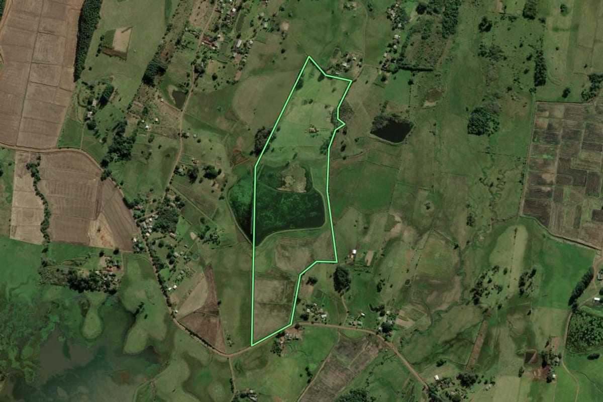 Imagem de satélite do imóvel rural em Santo Antônio da Patrulha (RS), com o contorno declarado no CAR desenhado por cima.