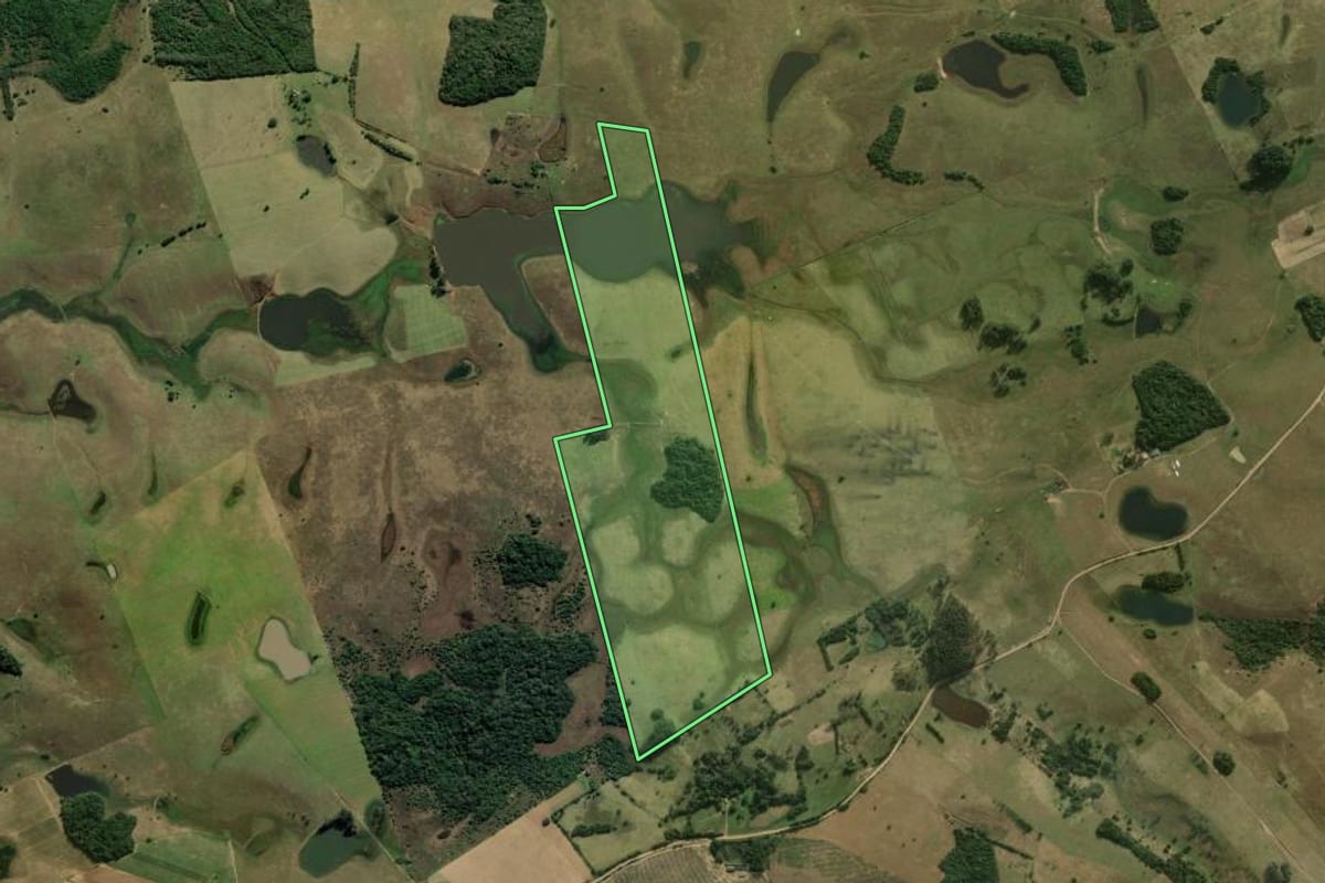 Imagem de satélite do imóvel rural em Santo Antônio da Patrulha (RS), com o contorno declarado no CAR desenhado por cima.