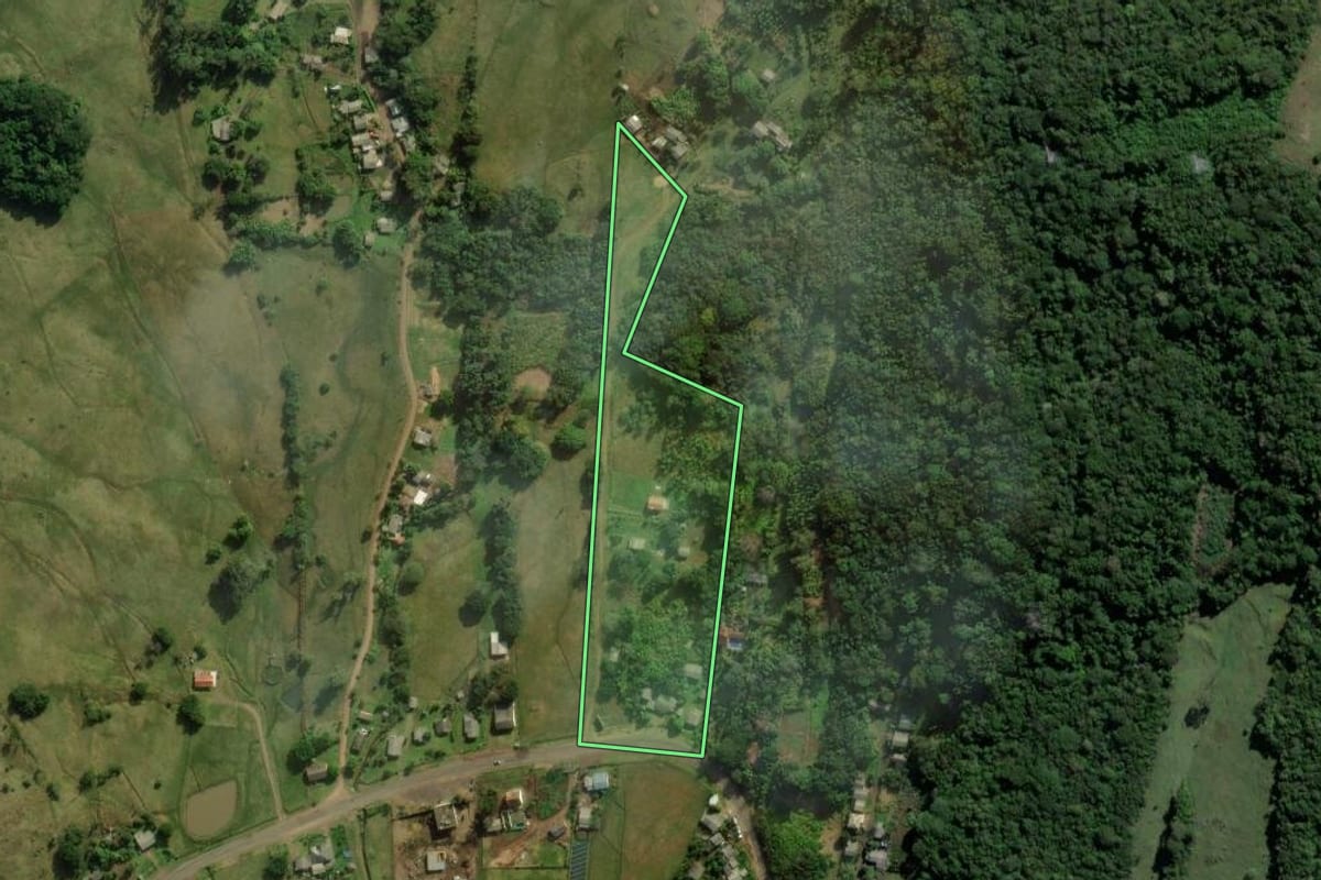 Imagem de satélite do imóvel rural em Santo Antônio da Patrulha (RS), com o contorno declarado no CAR desenhado por cima.