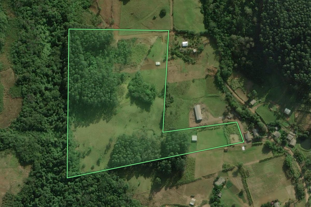 Imagem de satélite do imóvel rural em Santo Antônio da Patrulha (RS), com o contorno declarado no CAR desenhado por cima.