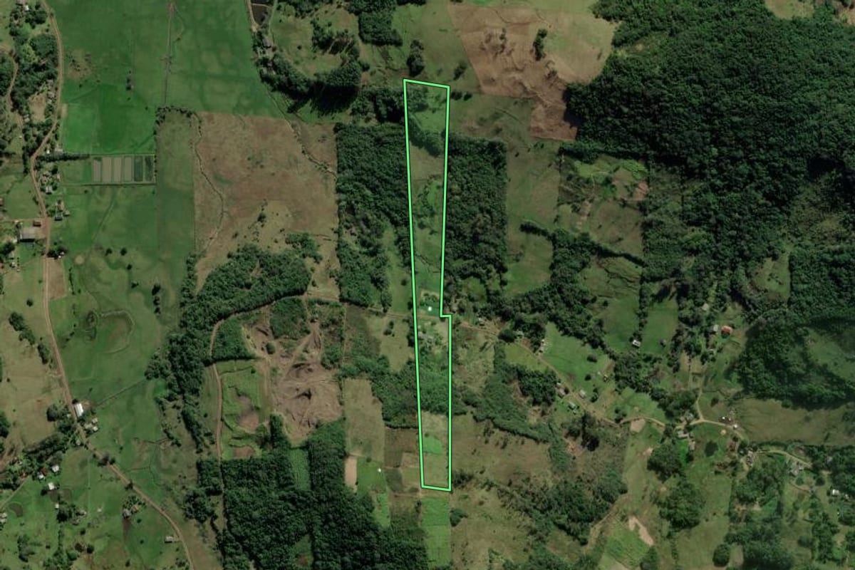 Imagem de satélite do imóvel rural em Santo Antônio da Patrulha (RS), com o contorno declarado no CAR desenhado por cima.