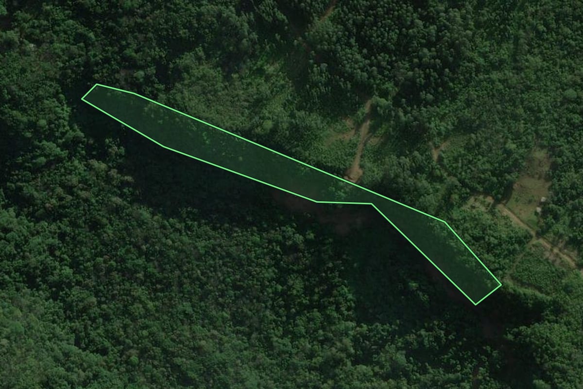 Imagem de satélite do imóvel rural em Santo Antônio da Patrulha (RS), com o contorno declarado no CAR desenhado por cima.