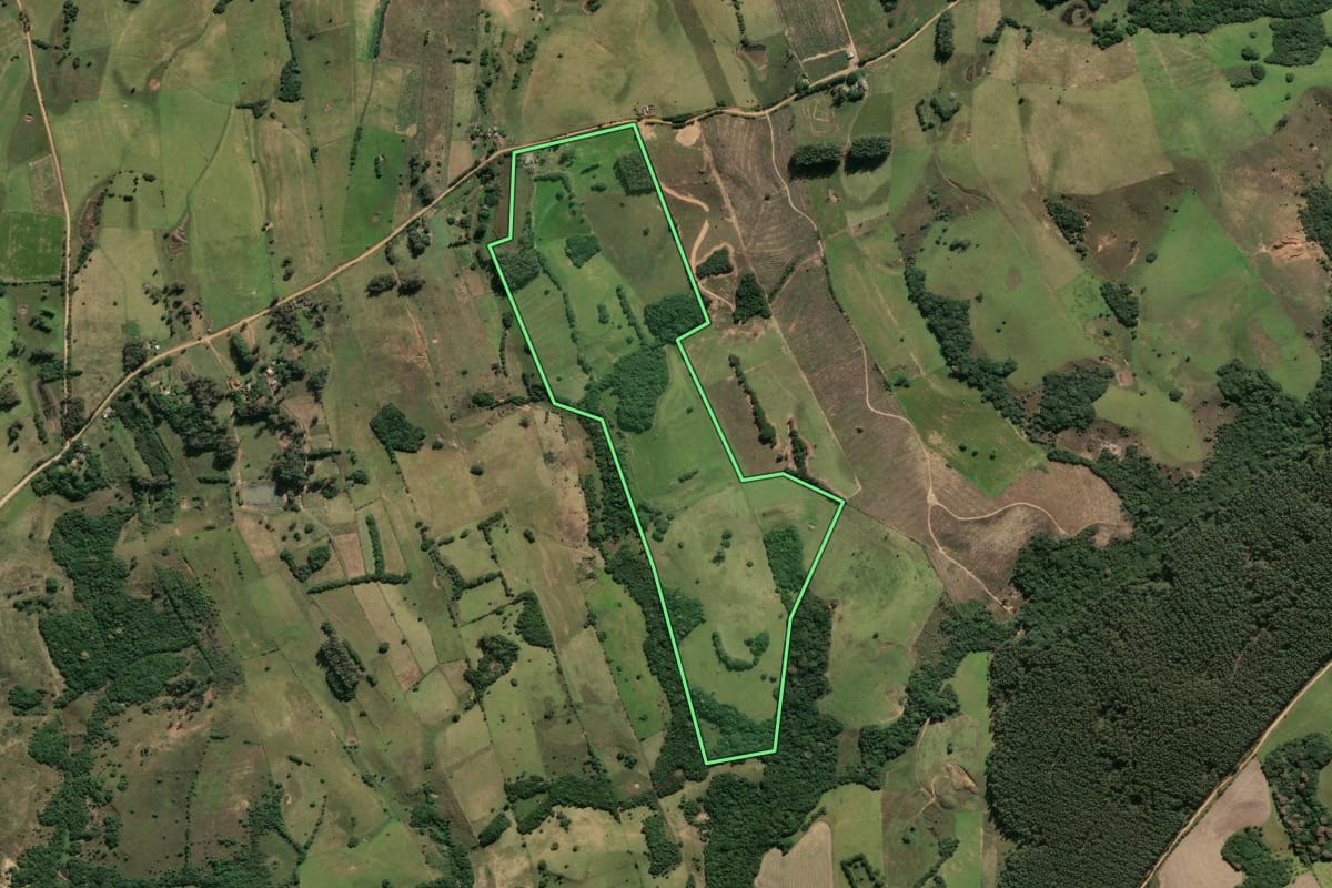 Imagem de satélite do imóvel rural em Santo Antônio da Patrulha (RS), com o contorno declarado no CAR desenhado por cima.