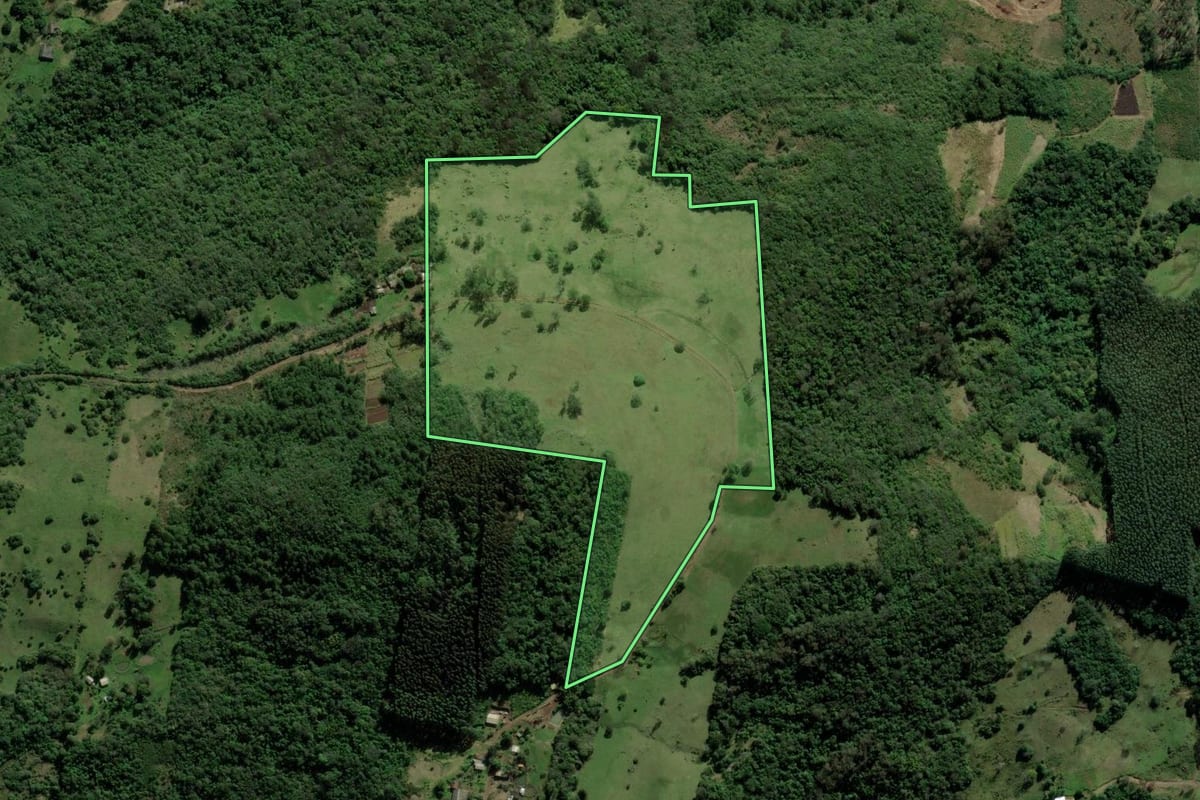 Imagem de satélite do imóvel rural em Santo Antônio da Patrulha (RS), com o contorno declarado no CAR desenhado por cima.