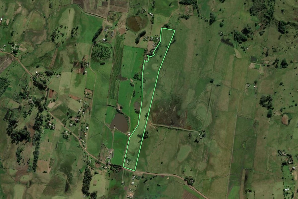 Imagem de satélite do imóvel rural em Santo Antônio da Patrulha (RS), com o contorno declarado no CAR desenhado por cima.