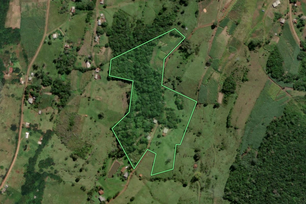 Imagem de satélite do imóvel rural em Santo Antônio da Patrulha (RS), com o contorno declarado no CAR desenhado por cima.